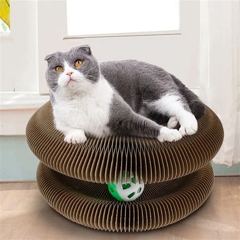 Finding the Perfect Balance: Harmonizing Your Home with a Magic Cat Scratching Board